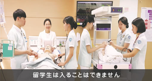 看護学科(4年制)