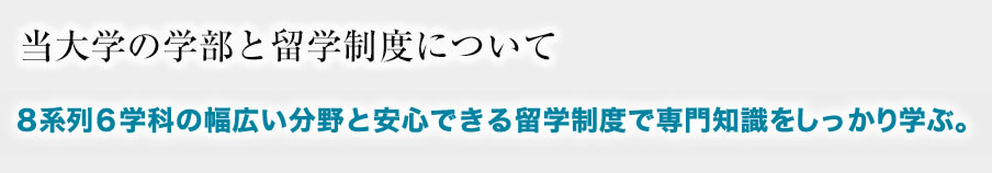 ８系列６学科の幅広い分野と安心できる留学制度で専門知識をしっかり学ぶ。